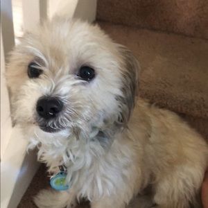 Meet your Posher, Nicky